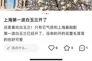 开云app官网入口下载安卓